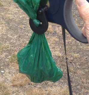 Loaded Winker snapped onto a retractable leash