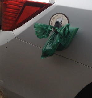 Winker with bag snapped onto the bumper magnet on the car